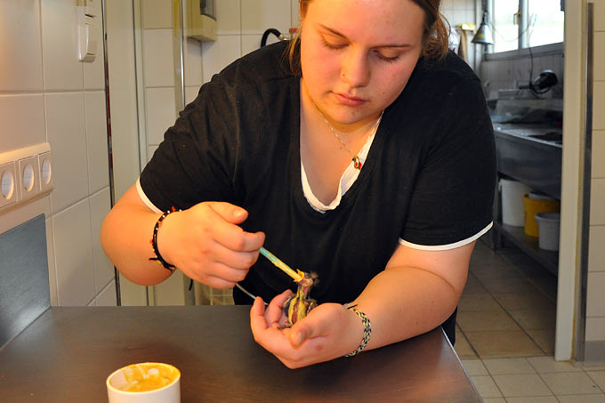 Fütterung einer jungen Meise - Foto: Bianka Brobeil