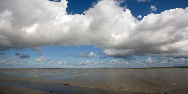 Wattenmeer bei Paesens (Niederlande), Foto: Frank Derer