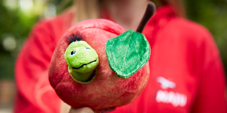 Die Apfel-Erlebniskiste - Foto: Mareike Sonnenschein