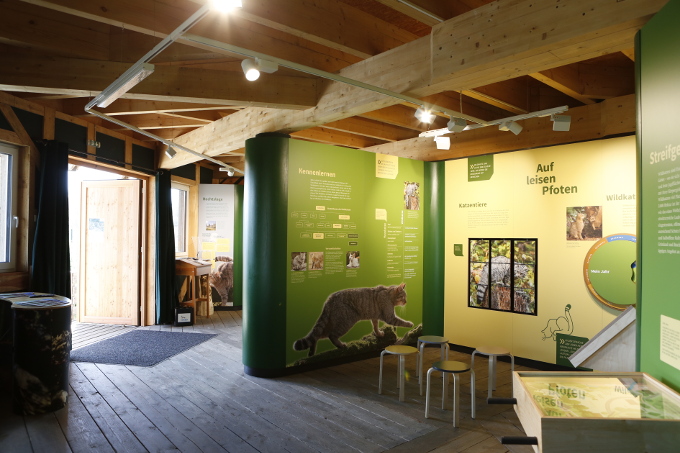 Ausstellung des NABU Wildkatzenerlebniszentrums - Foto: Mareike Sonnenschein