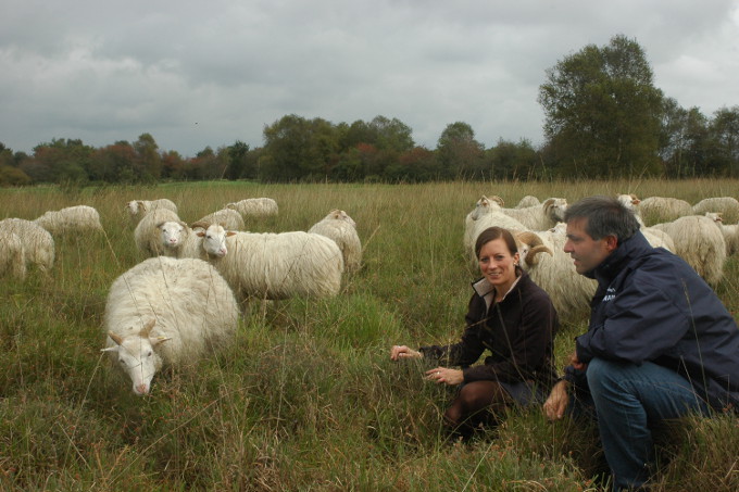 Nina Wasilevski und Michael Steven bei den Schafen im Moor - Foto: Michael Steven