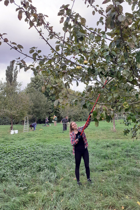 Leonie Jordan packt bei der Apfelernte mit an - Foto: Niklas Rohden
