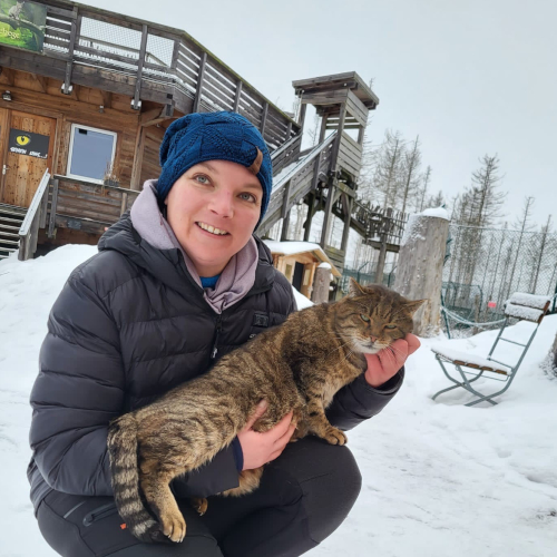 Foto: NABU Wildkatzen-Erlebniszentrum