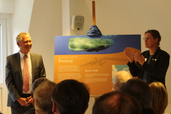 Bürgermeister Dirk Lindner und Silke Schmidt enthüllen eine der fünf Informationstafeln zum Pottwal-Skelett. - Foto: Rieka Beewen