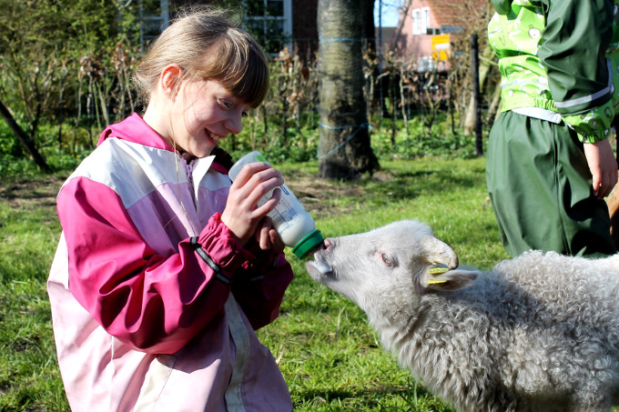 Mädchern füttert ein Lamm mit der Flasche. - Foto: Jana Kessens