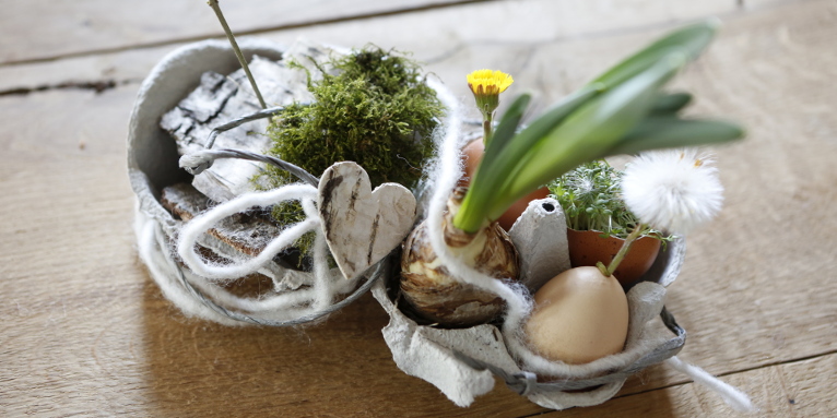  Die Eierschalen mit Blumen und Moos bestücken und mit den Blumenzwiebeln in den Karton setzen. - Foto: Mareike Sonnenschein