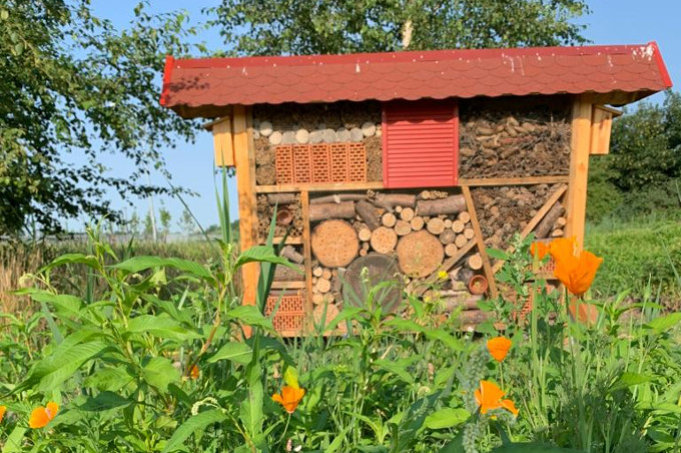 Blühwiese mit Insektenhotel auf dem Gelände von Nordfrost in Schortens. - Foto: MOBILUM
