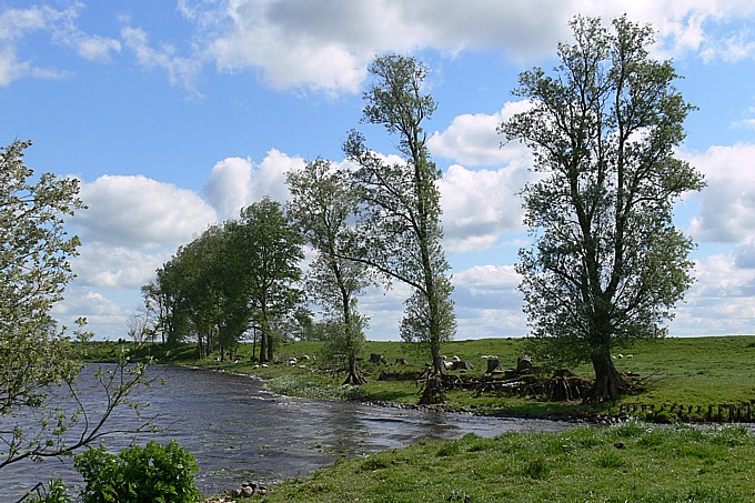 Fluss - Foto: Ingo Ludwichowski