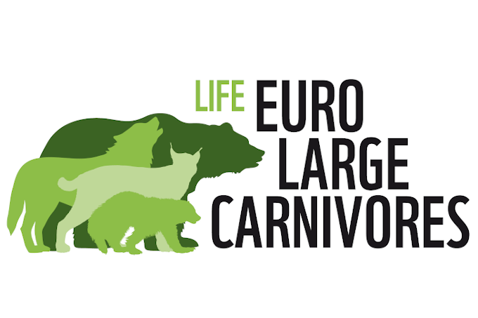 WWF_Euro_large_carnivores
