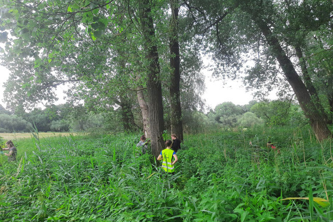 Gemeinsamer Einsatz für die Natur von Mitarbeitenden der Westermann Gruppe und ÖNSA in der Braunschweiger Okeraue. - Foto: Jana Weber