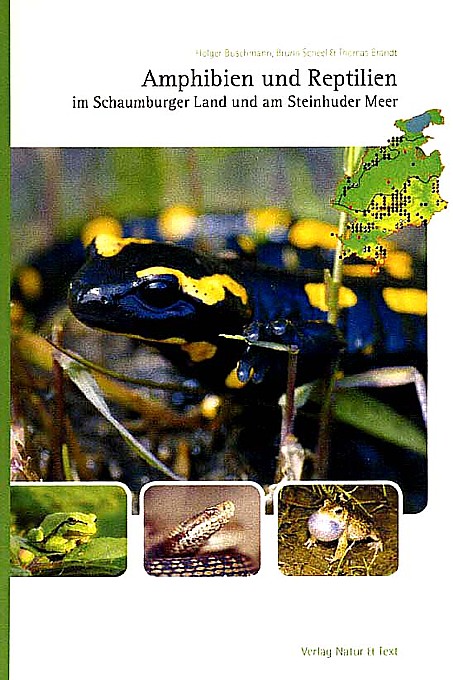 Buch Amphibien und Reptilien
