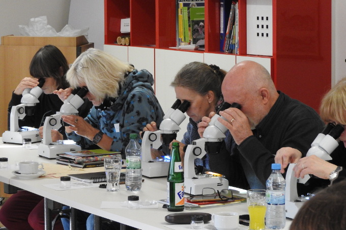 Hummelbestimmungsseminar in Laatzen - Foto: Nicole Feige