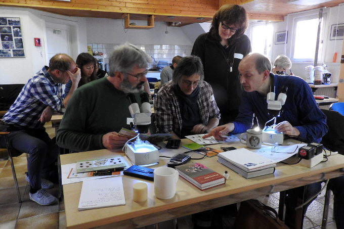 Ehrenamtliche des NABU erlernen die Hummelbestimmung. - Foto: Nicole Feige