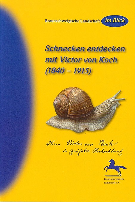 Schneckenbuch klein