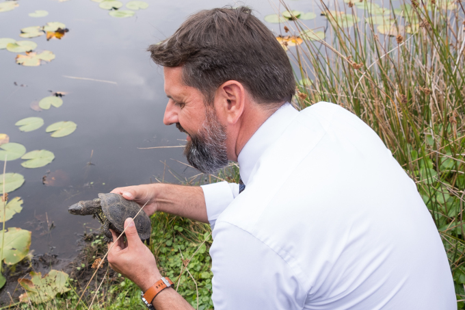 Umweltminister Lies wildert die 250. Sumpfschildkröte aus. - Foto: Matthias Freter