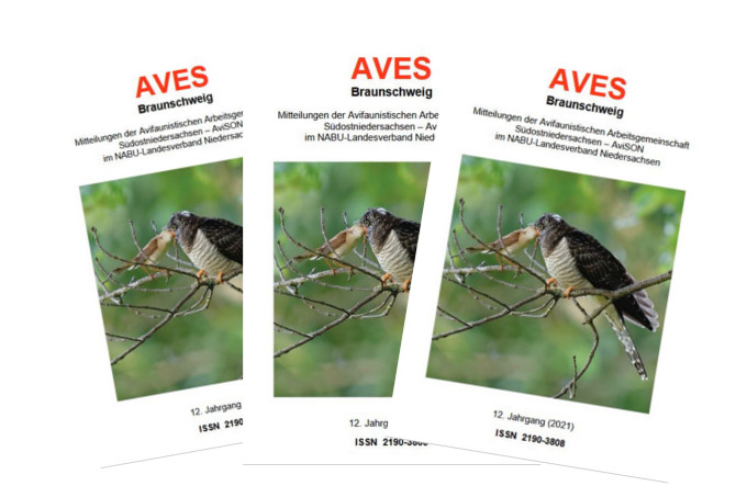 Das AviSON-Mitteilungsheft ‚AVES Braunschweig’ erscheint einmal jährlich. -