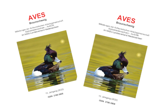 Das AviSON-Mitteilungsheft ‚AVES Braunschweig’ erscheint einmal jährlich.