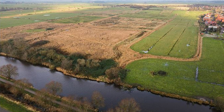 Das noch intakte Feuchtwiesengebiet in Emden Conrebbersweg - Foto: Michael Rueger / NABU