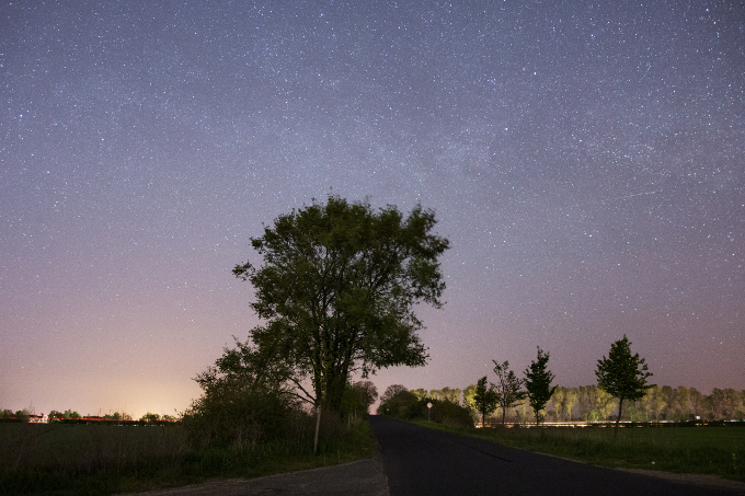 Der NABU Niedersachsen fordert die Menschen in Niedersachsen und darüber hinaus auf, bei der Earth Night mitzumachen  – zum Schutz unserer Umwelt.