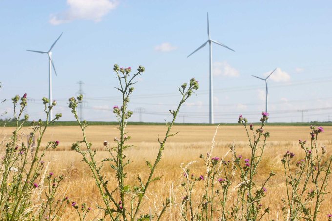 Energiewende ja, aber an den richtigen Standorten und nach geltendem Recht